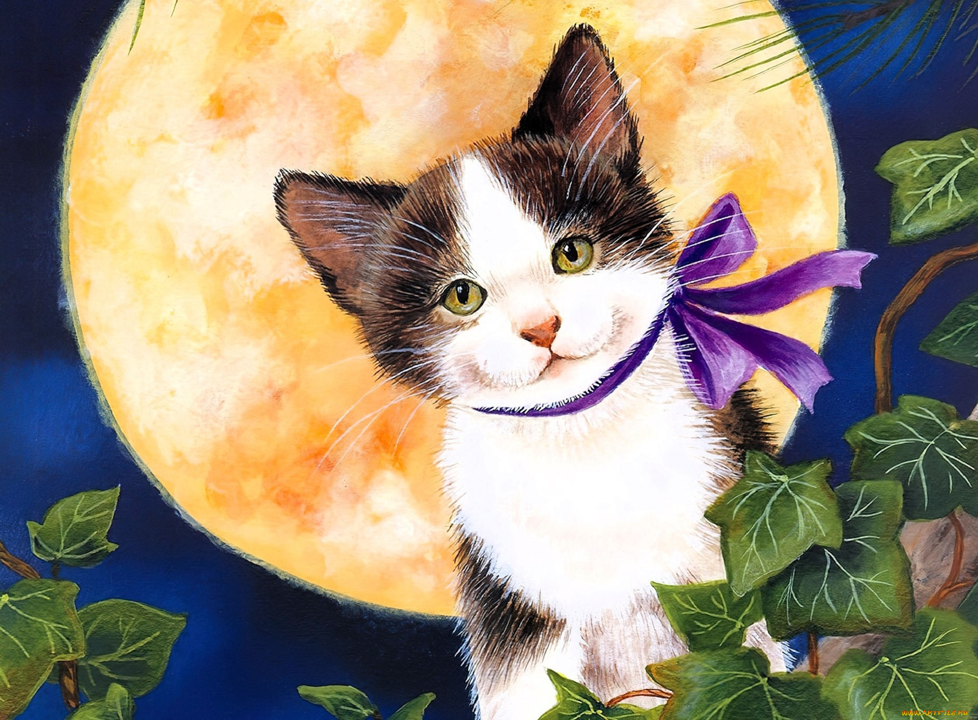 jane maday, , ,  , , , , 